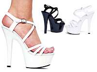 601-Dreamer 6 Inch Stiletto with 2" Platform